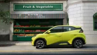 byd dolphin surf